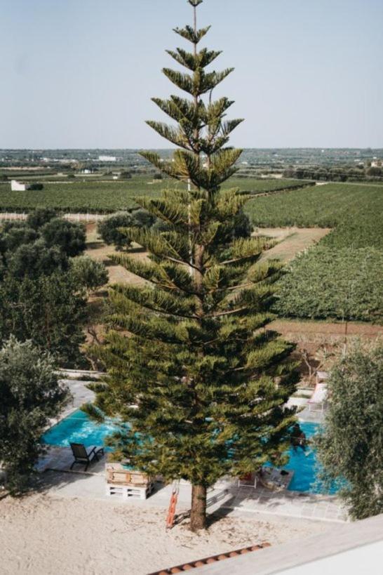 Alojamento de Turismo Rural Masseria Macchiarola Lizzano (Apulia)